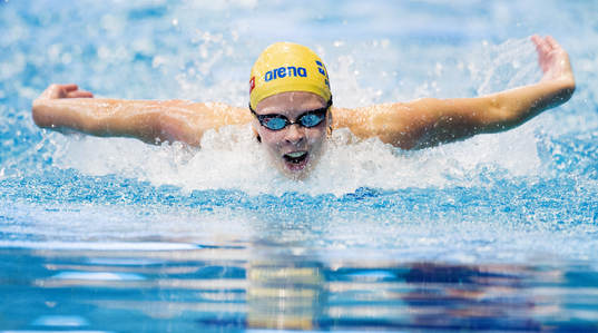 Louise Hansson, Sverige