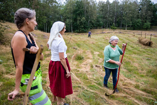 Naturvård, Slåtterdag, Ljungbyhed