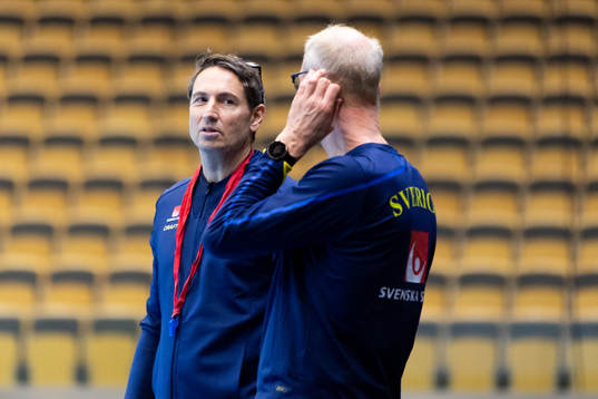 Förbundskapten Glenn Solberg