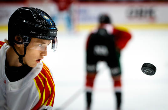 Brynäs William Strömgren